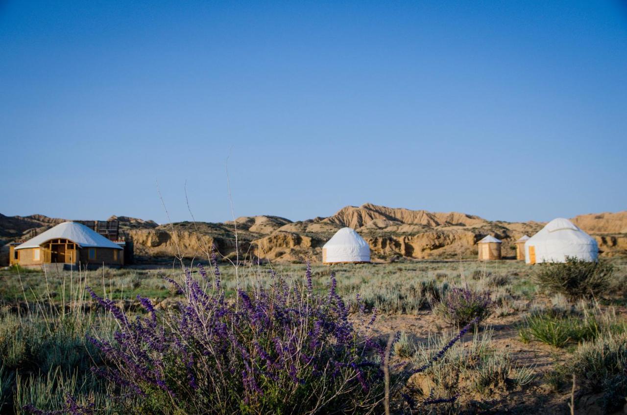 Feel Nomad Yurt Camp Hotel Ak-Say Ngoại thất bức ảnh
